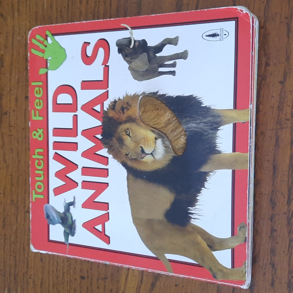 Wild Animals Touch and Feel children's board book